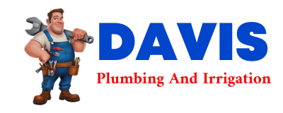 Trusted plumber in BODINES